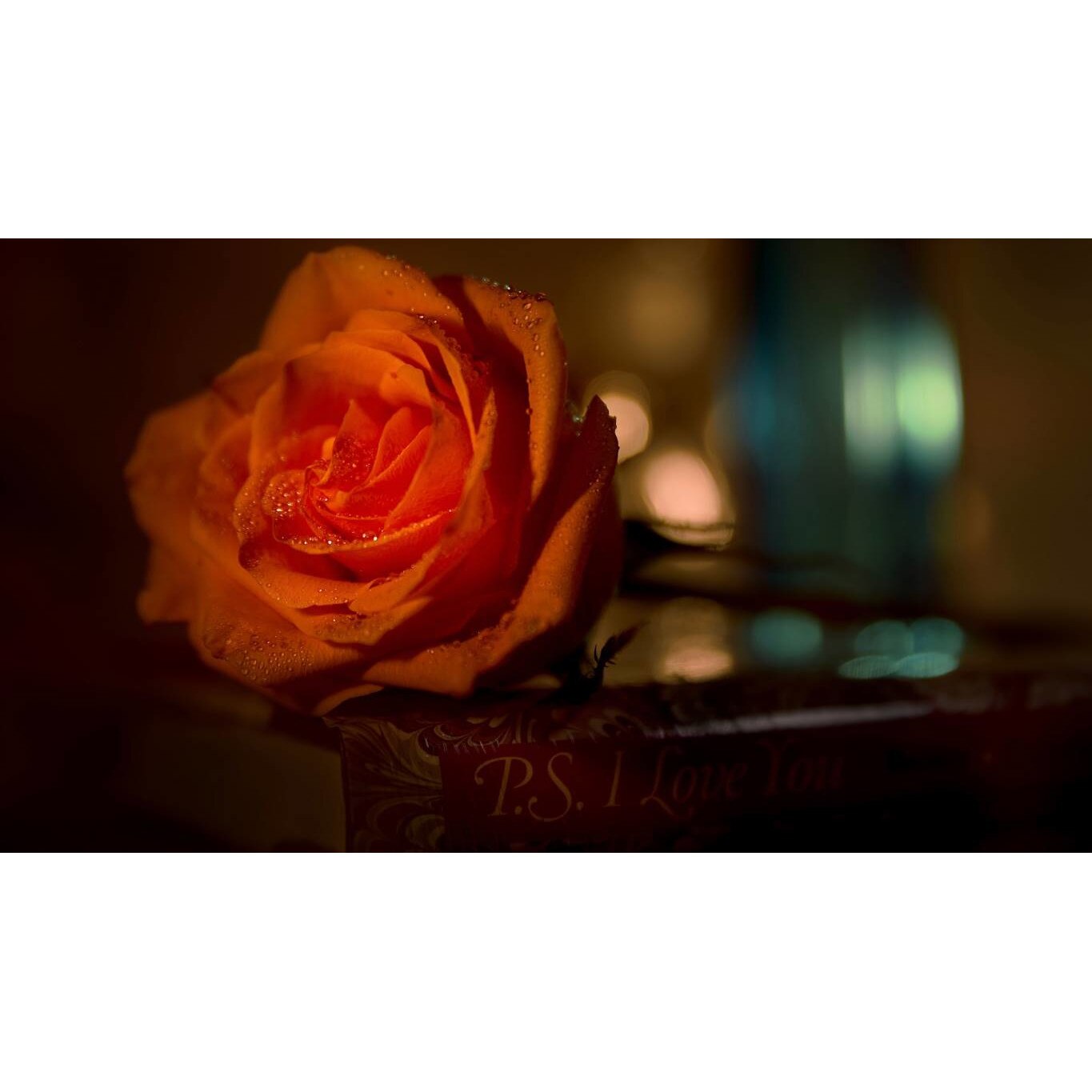 Tablou canvas 75x50 cm, Natura cu Flori model 150