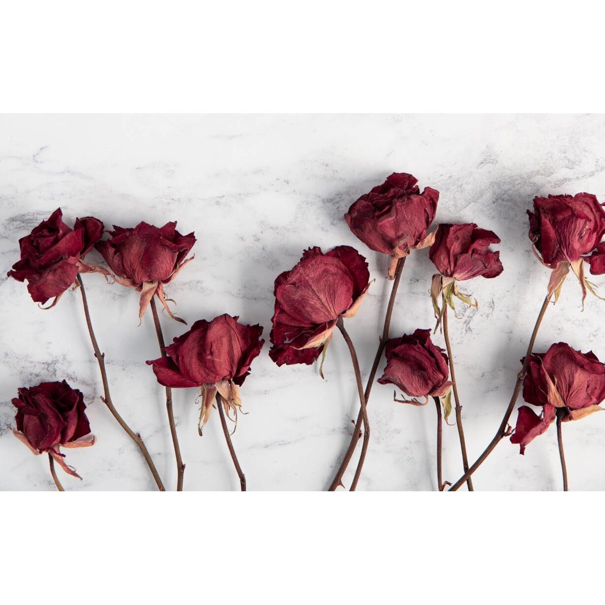 Tablou canvas 75x50 cm, Natura cu Flori model 173