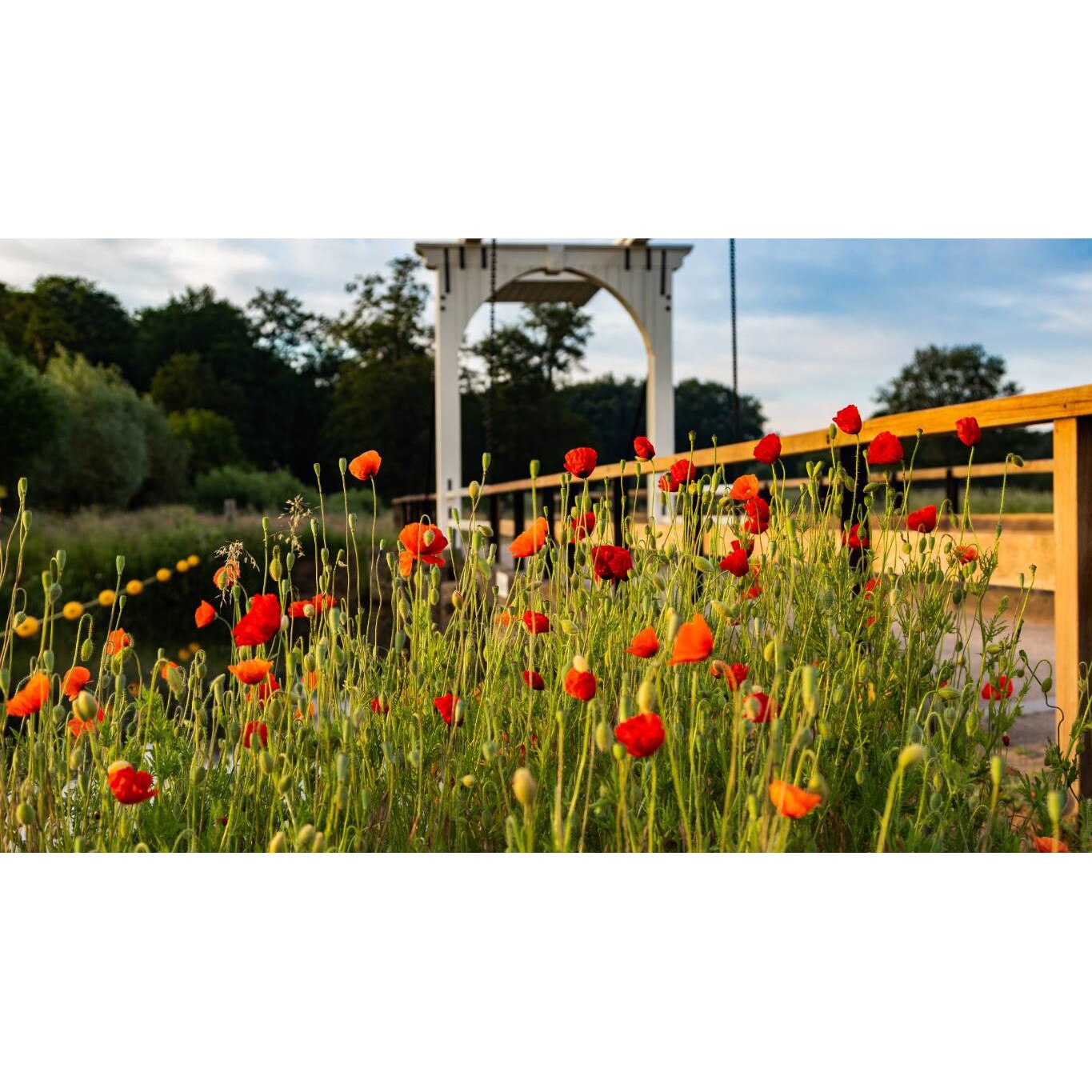 Tablou canvas 90x50 cm, Natura cu Flori model 124