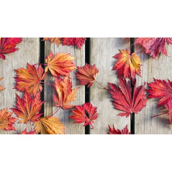 Tablou canvas 90x50 cm, Natura cu Flori model 180 Tablou canvas 90x50 cm, Natura cu Flori model 180