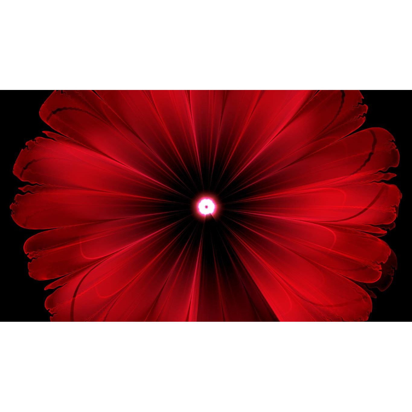 Tablou canvas 90x50 cm, Natura cu Flori model 211