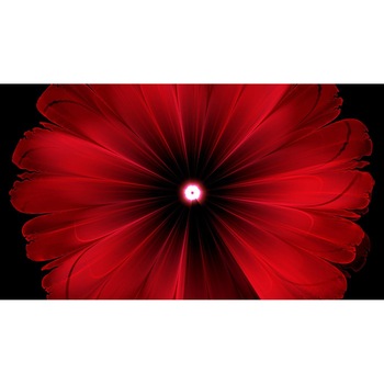 Tablou canvas 90x50 cm, Natura cu Flori model 211 Tablou canvas 90x50 cm, Natura cu Flori model 211