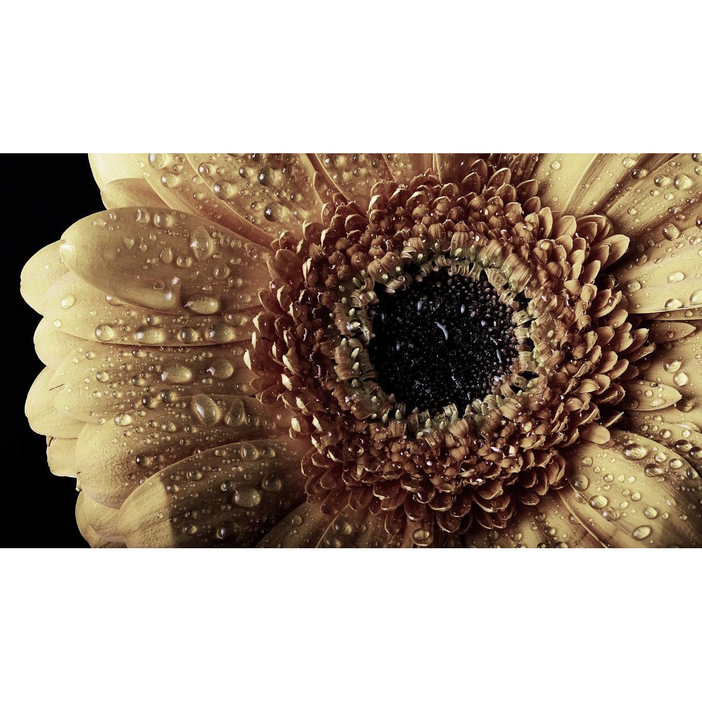 Tablou canvas 75x50 cm, Natura cu Flori model 248