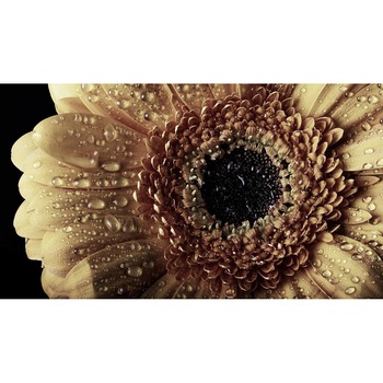 Tablou canvas 75x50 cm, Natura cu Flori model 248 Tablou canvas 75x50 cm, Natura cu Flori model 248