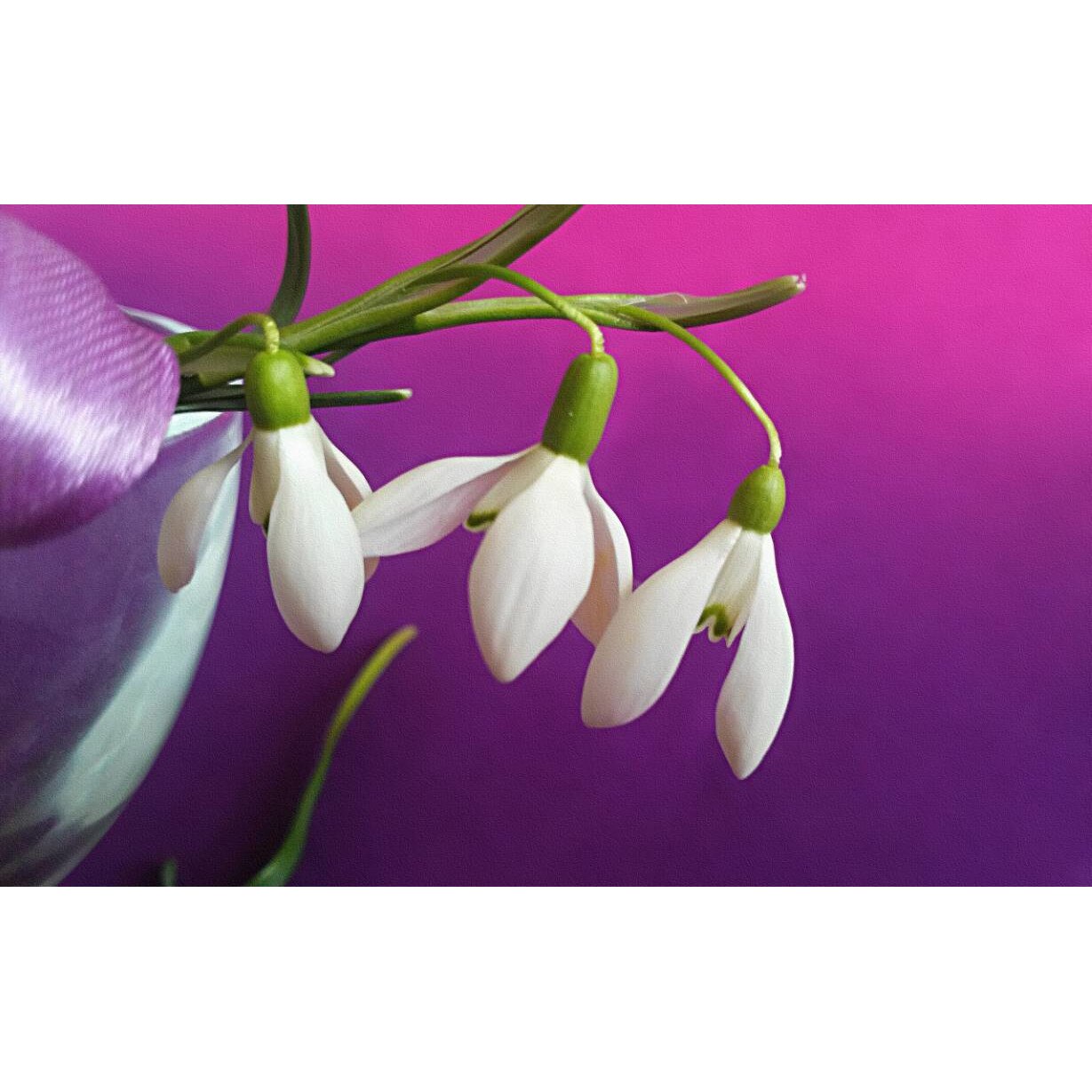 Tablou canvas 90x50 cm, Natura cu Flori model 196