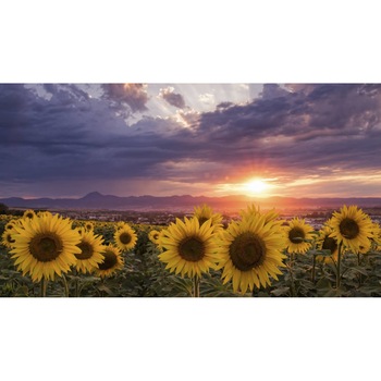 Tablou canvas 75x50 cm, Natura cu Flori model 253 Tablou canvas 75x50 cm, Natura cu Flori model 253