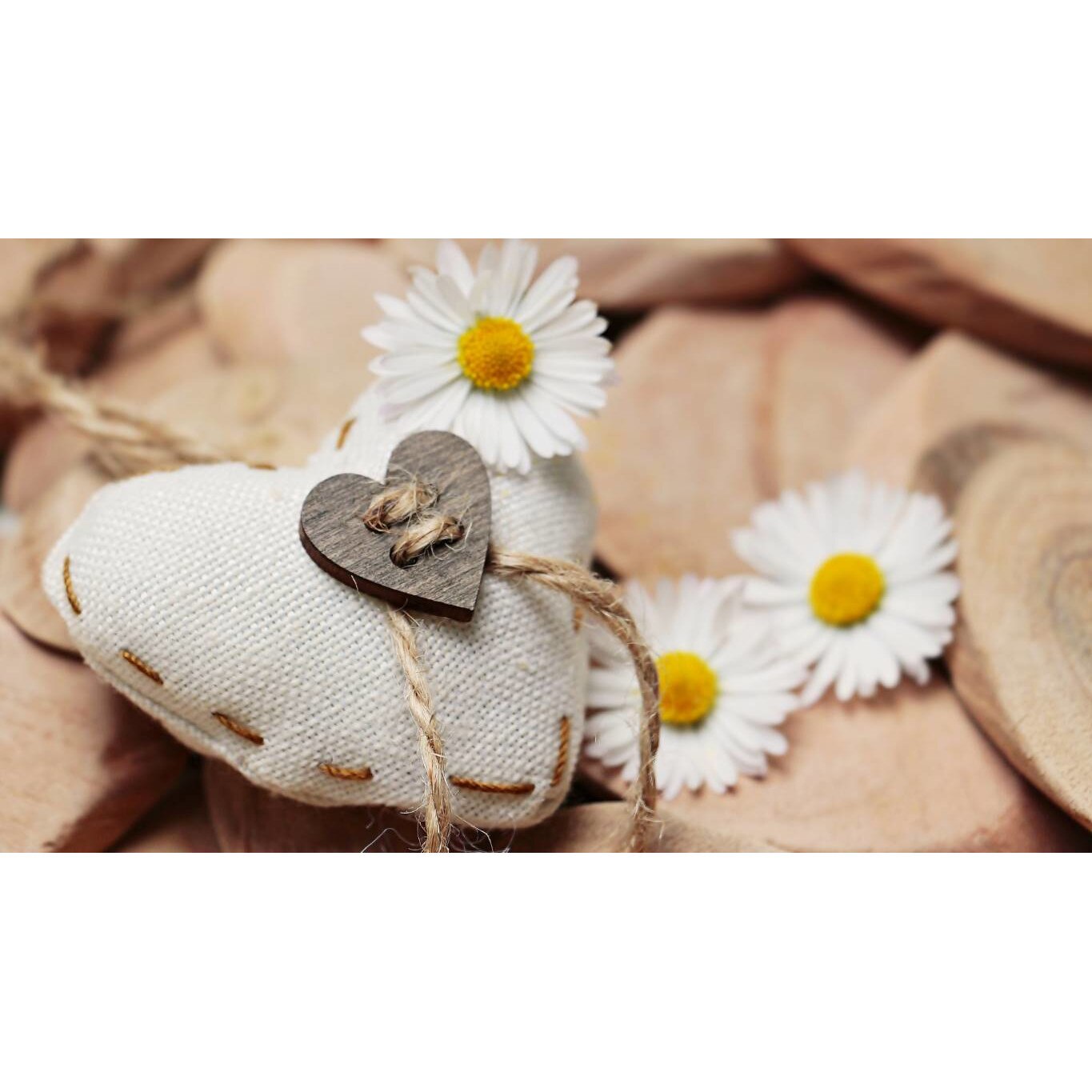 Tablou canvas 90x50 cm, Natura cu Flori model 243