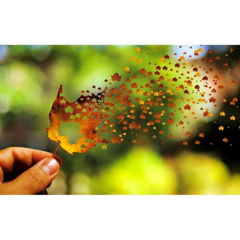 Tablou canvas 75x50 cm, Natura cu Flori model 322 Tablou canvas 75x50 cm, Natura cu Flori model 322