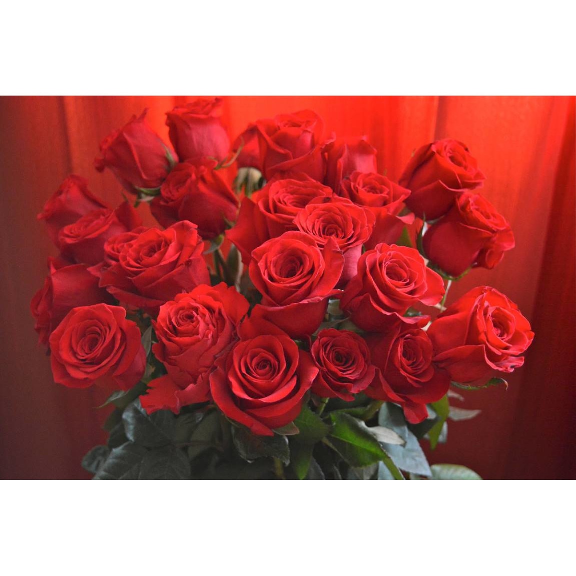 Tablou canvas 75x50 cm, Natura cu Flori model 365