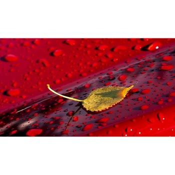 Tablou canvas 90x50 cm, Natura cu Flori model 380 Tablou canvas 90x50 cm, Natura cu Flori model 380