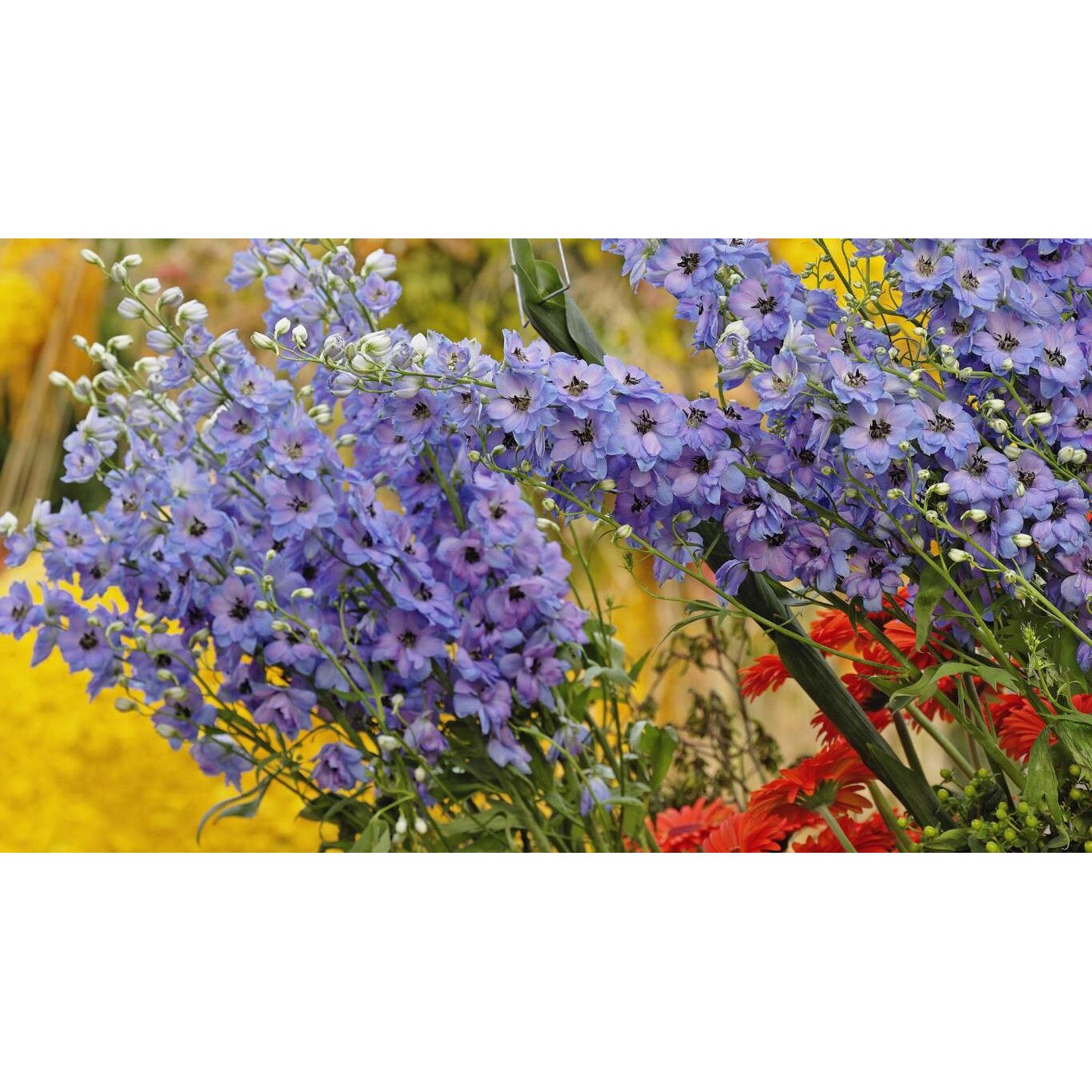 Tablou canvas 75x50 cm, Natura cu Flori model 343