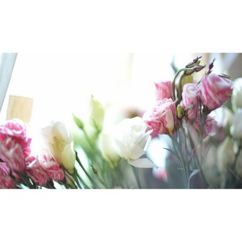 Tablou canvas 90x50 cm, Natura cu Flori model 321 Tablou canvas 90x50 cm, Natura cu Flori model 321