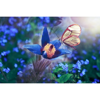 Tablou canvas 90x50 cm, Natura cu Flori model 385 Tablou canvas 90x50 cm, Natura cu Flori model 385