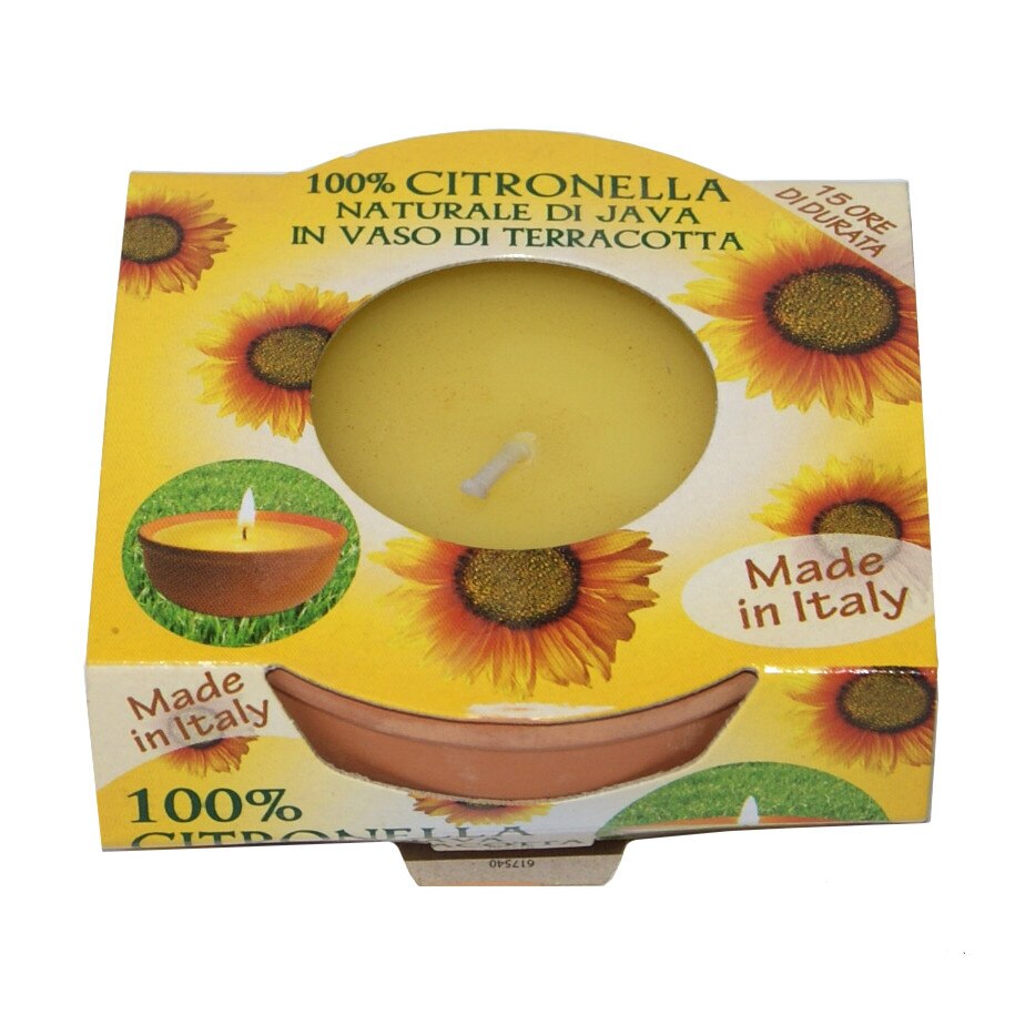 Citronella in teracota kos