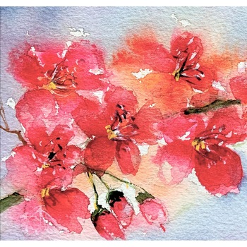 Pictura in acuarela Flori de mar - tablou pictat manual, dimensiune 17 * 25 cm Pictura in acuarela Flori de mar - tablou pictat manual, dimensiune 17 * 25 cm