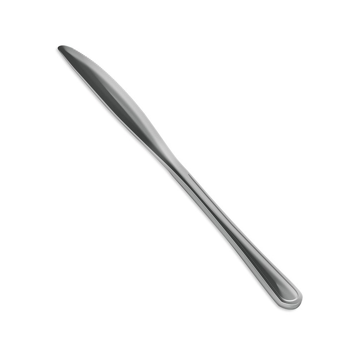 Cutit de Bucatarie pentru Untul Lamart, 22 cm, 2 Bucati