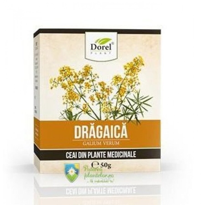 Ceai de Dragaica (sanziene) 50 gr