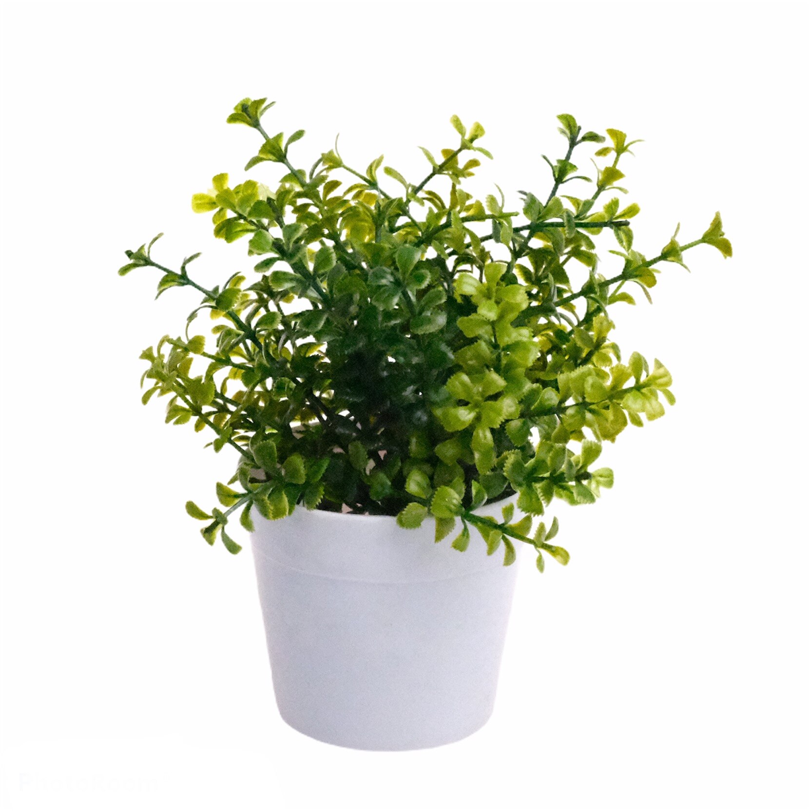 Floare decor,ghiveci,16 cm,verde