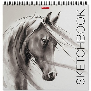 Caiet Schite ErichKrause® Wild Horse 295x295mm 40 File Cu Spirala Caiet Schite ErichKrause® Wild Horse 295x295mm 40 File Cu Spirala
