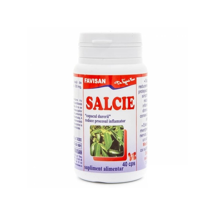 Salcie 40 capsule Favisan