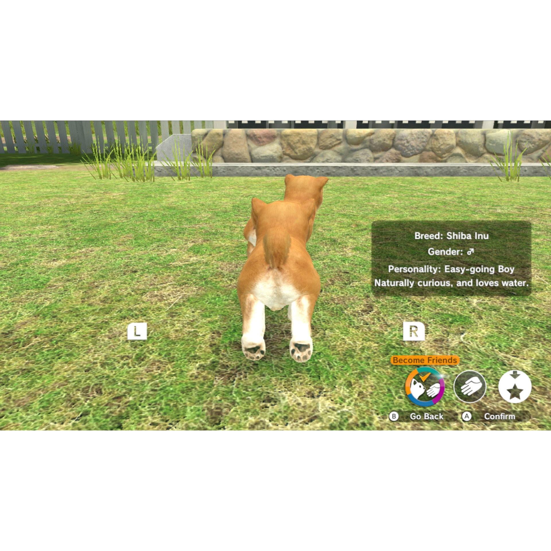 【任天堂Switch】LITTLE FRIENDS: DOGS & CATS Little Friends: Dogs & Cats : Amazon.co.uk: PC & Video Games
