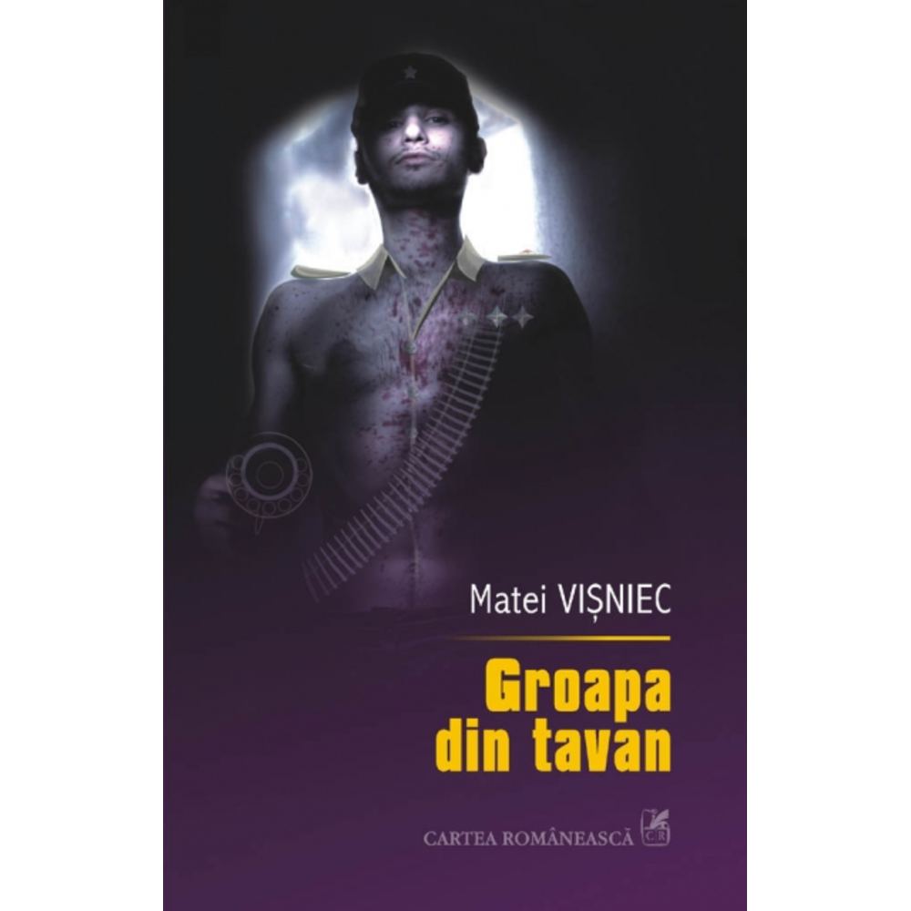 Groapa din tavan - Matei Visniec