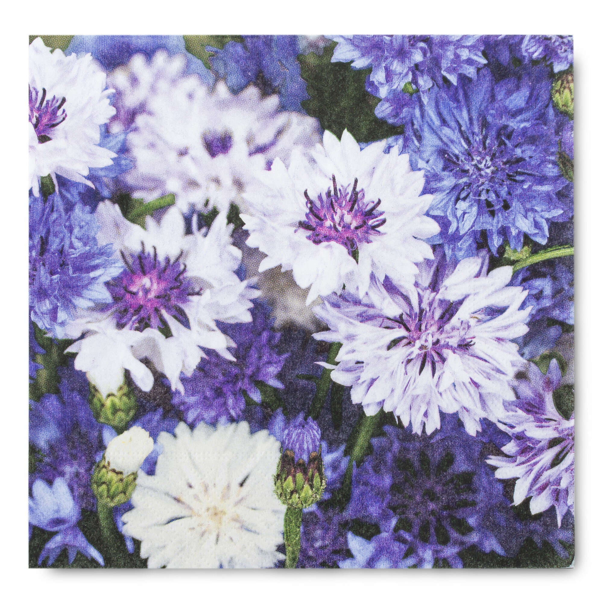 Servetele de masa, 33x33 cm, model floral lila