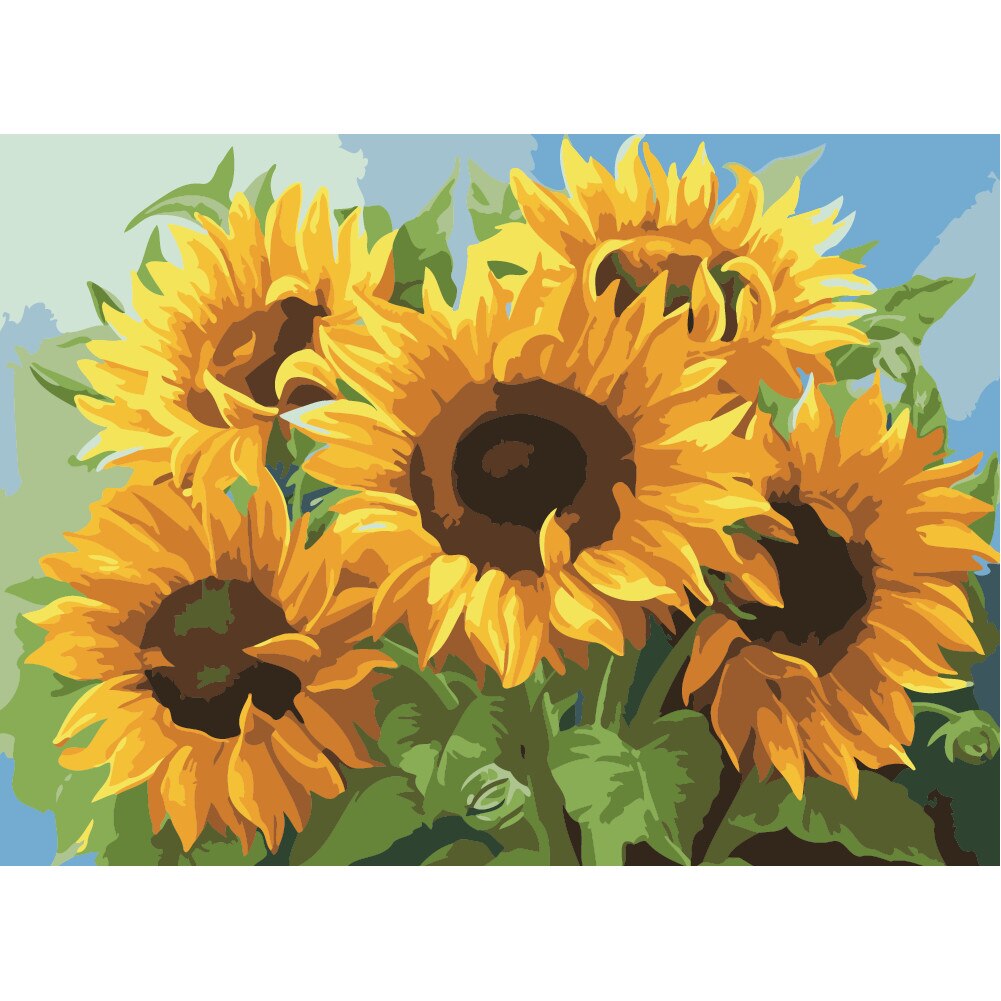 Set pictura pe numere flori ppn36, 40x50cm, panza fara rama