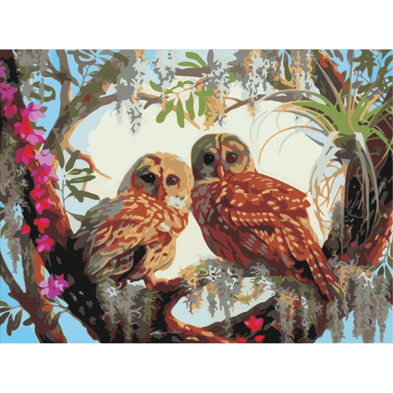 Set pictura pe numere bufnite ppn82, 40x50cm, panza fara rama