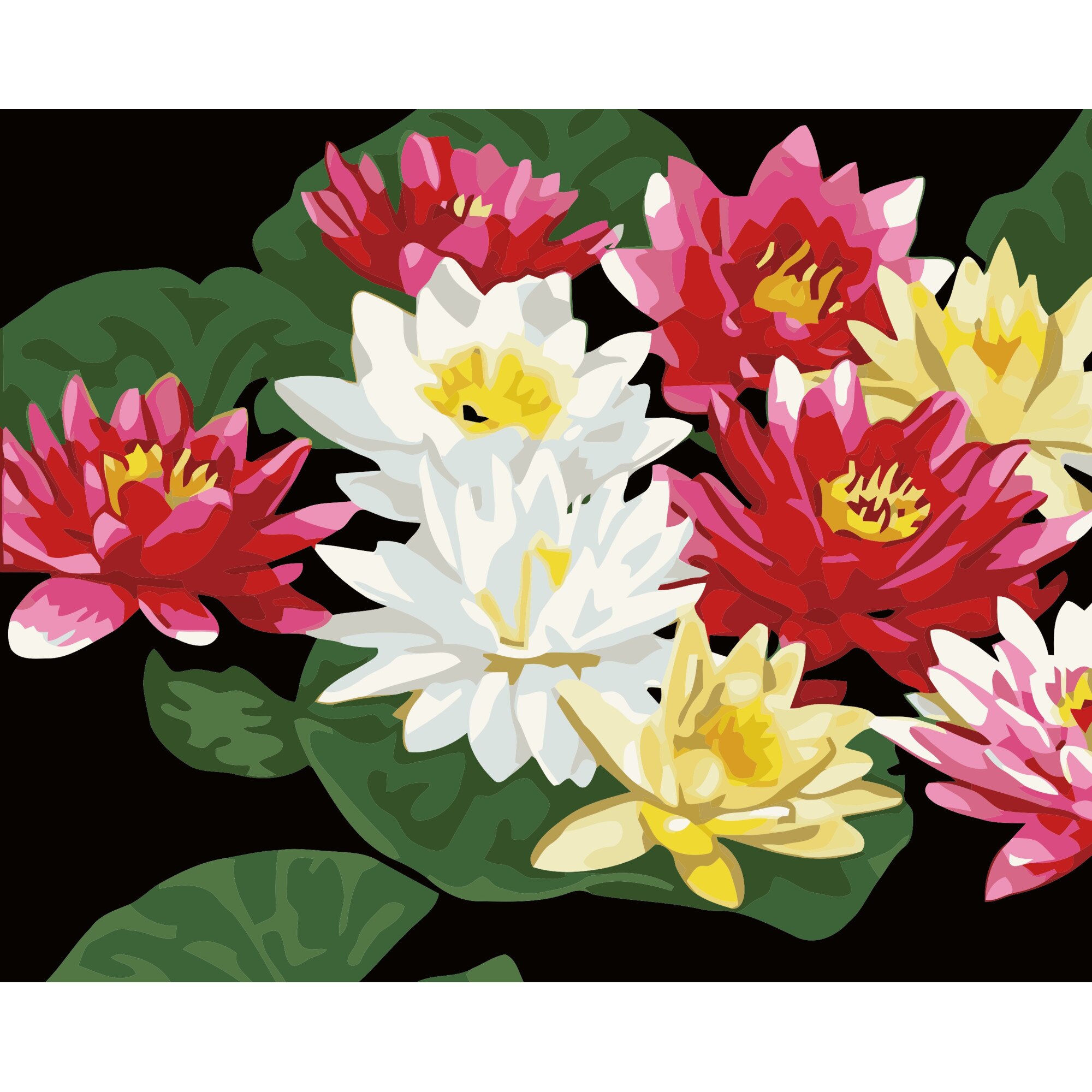 Set pictura pe numere nuferi ppn107, 40x50cm, panza fara rama