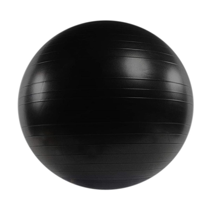 Minge fitness anti burst, pompa inclusa, 55 cm, TheWay Fitness