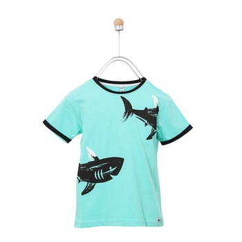 Tricou pentru baieti, culoare verde menta 2555 Tricou pentru baieti, culoare verde menta 2555