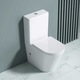 Ego Interiors S108T Perem Nélküli WC-csésze, Tartállyal, 60x36 cm, Fehér, Soft Close Fedél