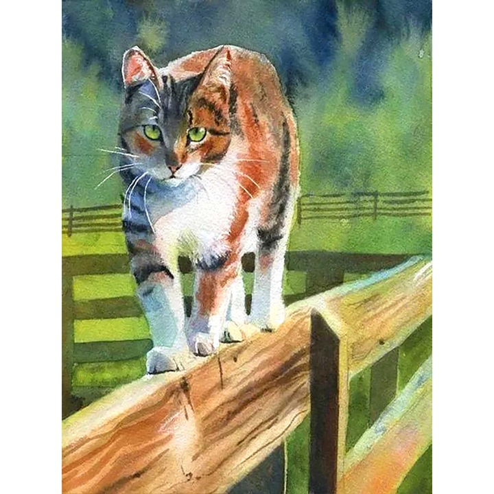 Set de creatie cu diamante 5D, Bimkole, Model pisica, 30 x 40 cm, Multicolor