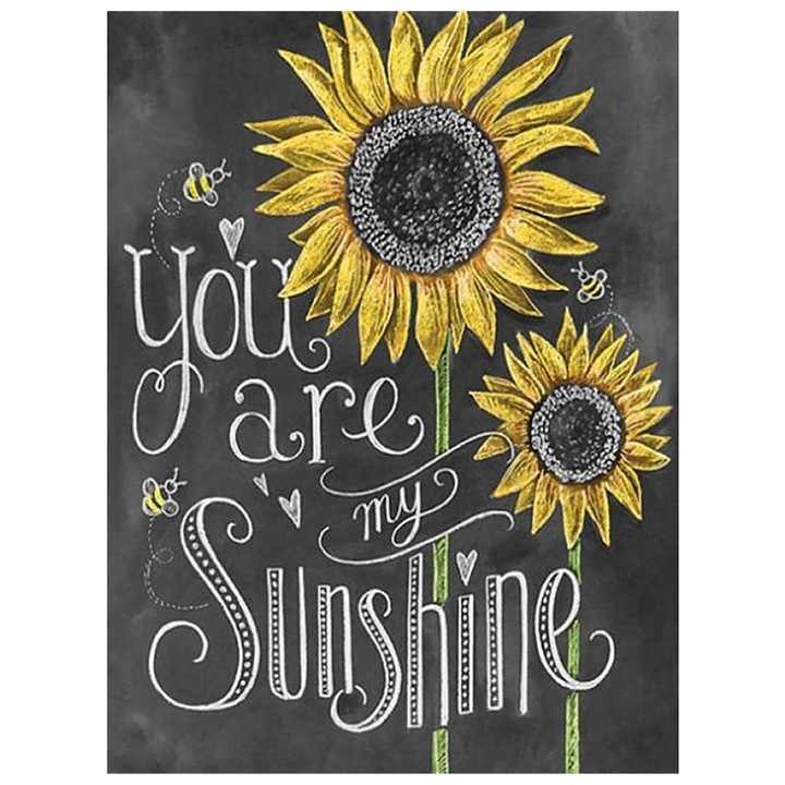 Set de creatie cu diamante 5D, Bimkole, Model You are my sunshine, 30 x 40 cm, Multicolor