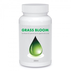 Pamant flori, ingrasaminte si pesticide