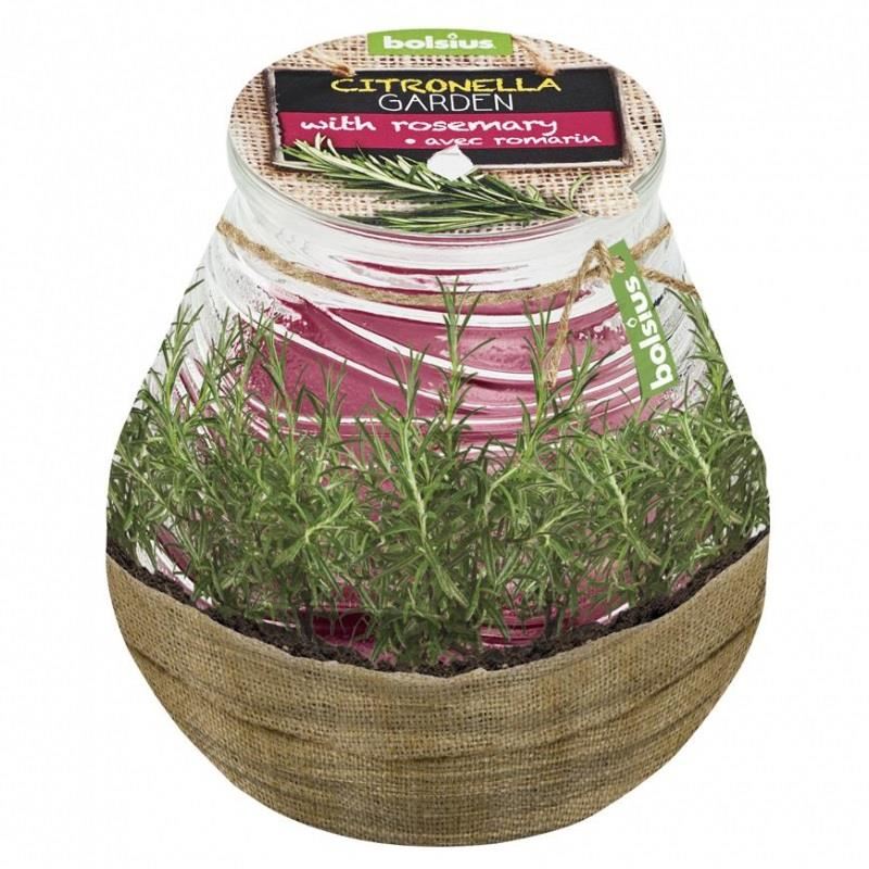 Lumanare parfumata Bolsius Rozmarin Citronella, 9.4 x 9 cm, anti-tantari