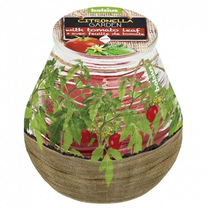 Свещ с аромат Bolsius Citronella Tomato, 9,4 x 9 см, против комари