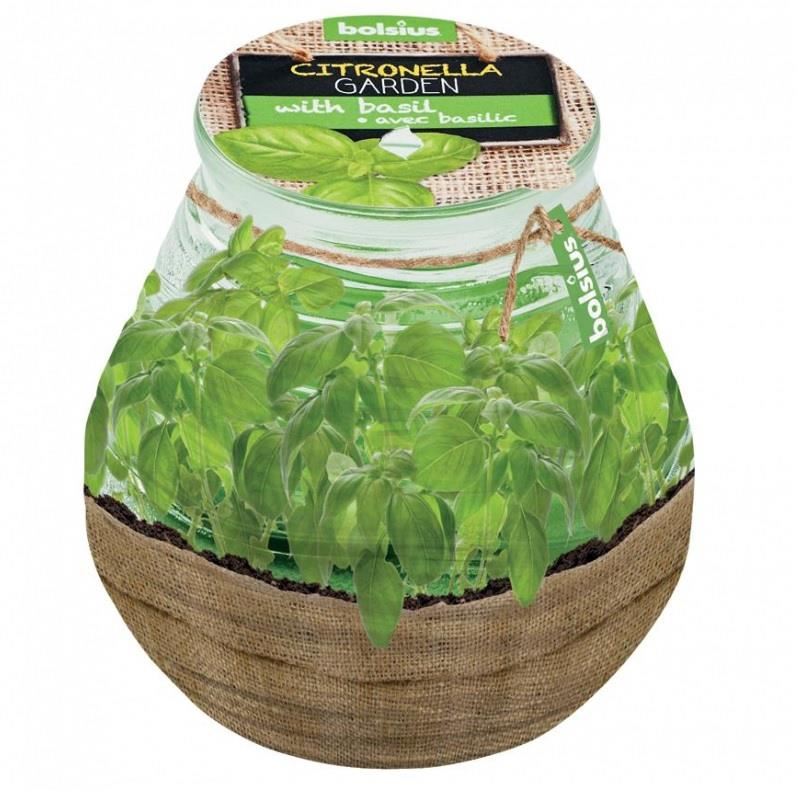 Lumanare parfumata Bolsius Busuioc Citronella, 9.4 x 9 cm, anti-tantari