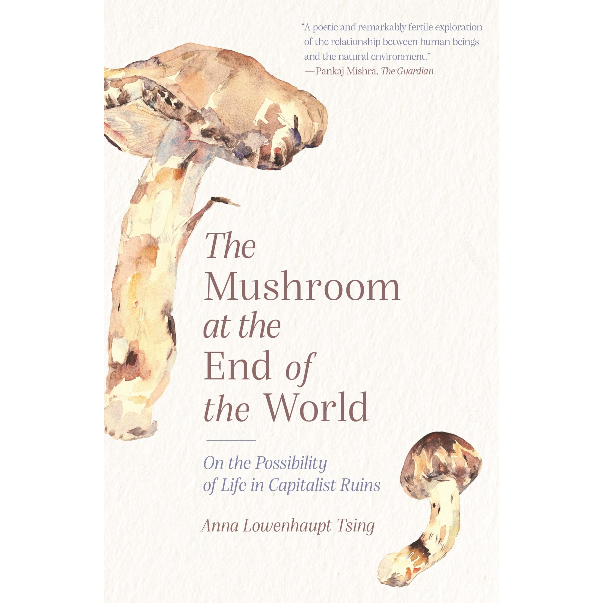 Mushroom at the End of the World - Anna Lowenhaupt Tsing, ed 2021