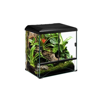 Set terariu si accesorii, Diversa, Forest, pentru amfibieni si reptil, 45x32.5x45 cm Set terariu si accesorii, Diversa, Forest, pentru amfibieni si reptil, 45x32.5x45 cm