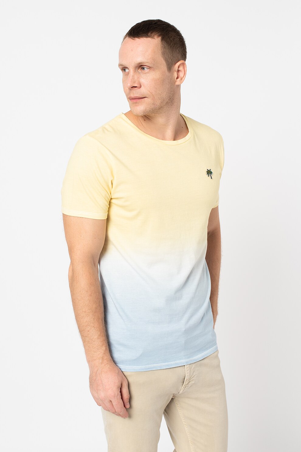 Haily's, Tricou cu decolteu la baza gatului si model in degrade, galben pai, albastru pastel