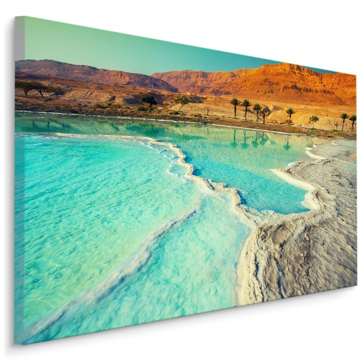 Festmény nappaliba Holt-tengeri tengerpart PALMS 70cm x 50cm Pálmafák, Természet, Táj, Kreatív dekor, 3D hatás