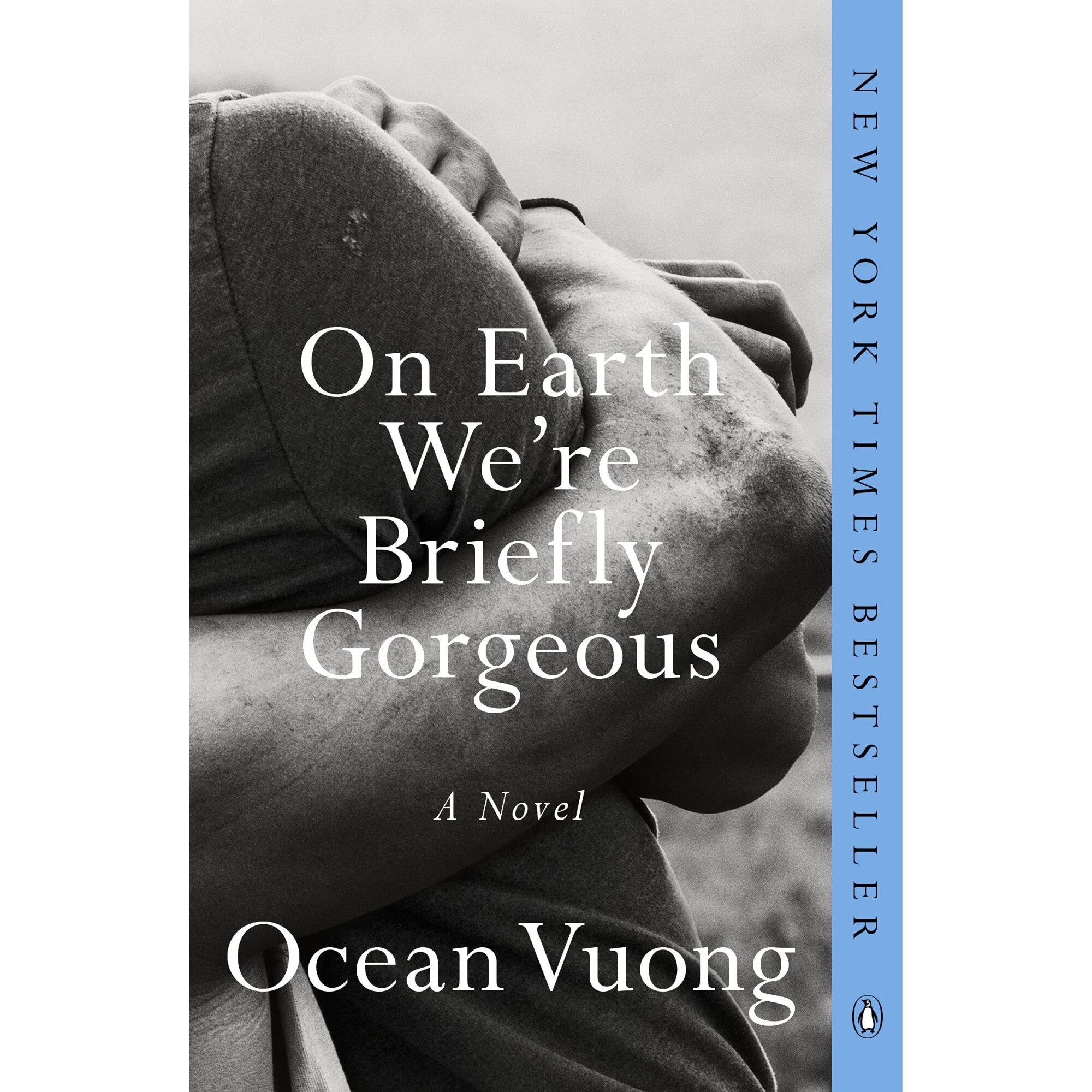 On Earth We're Briefly Gorgeous - Ocean Vuong, editia 2021