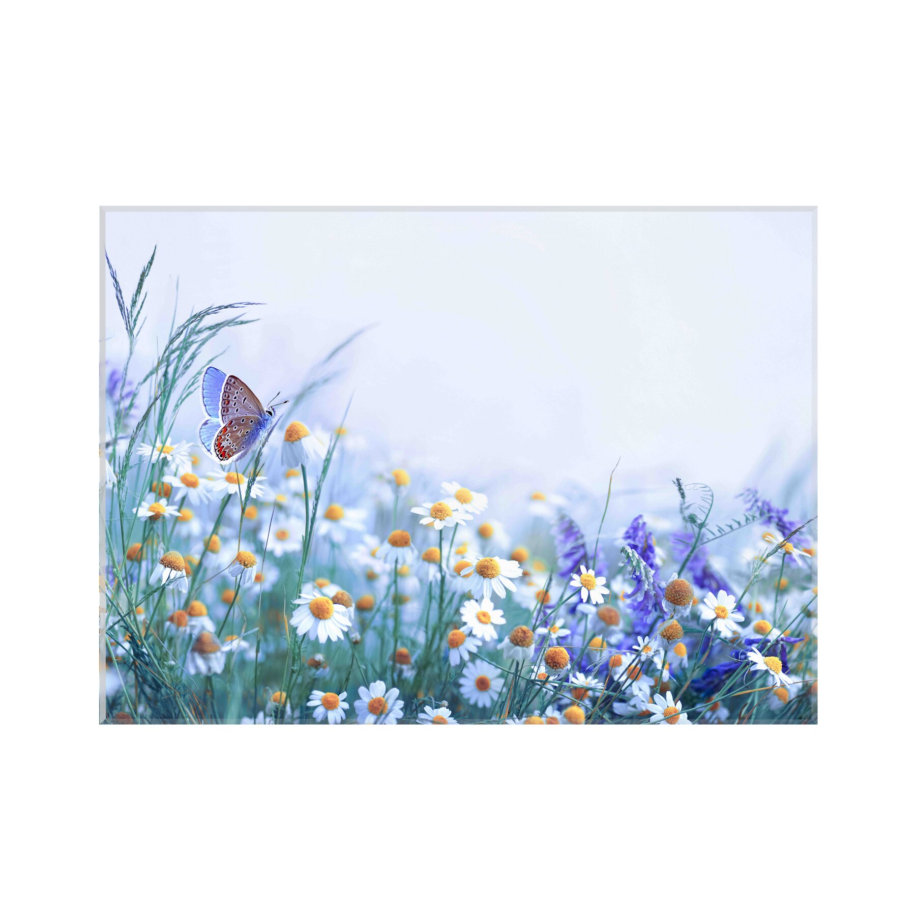 Sticla bucatarie securizata Saint Gobain Glass®, imprimata 90x65cm, protectie antistropire pentru aragaz, Ambra Deco, Musetel