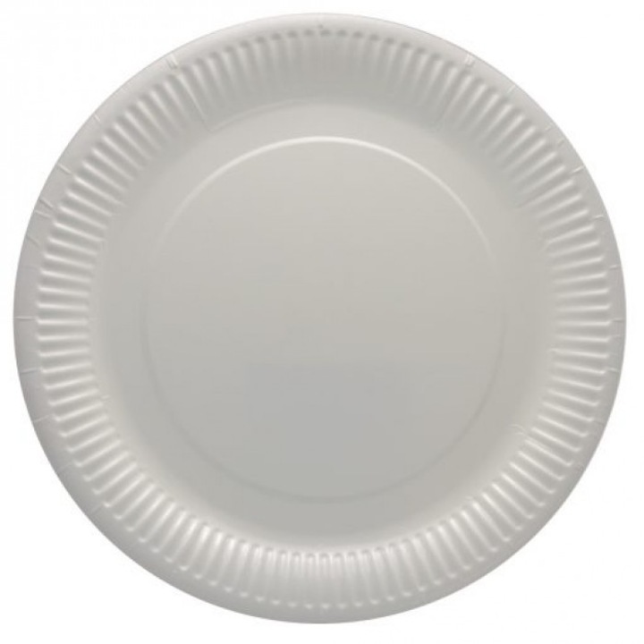 Set de 25 bucati, Farfurii 230 mm ( Bax de 40 )