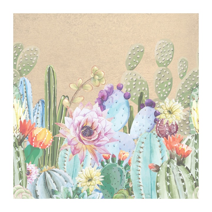 Set 4 Role Tapet Succulents, Multicolor, 3 x 0.52 m