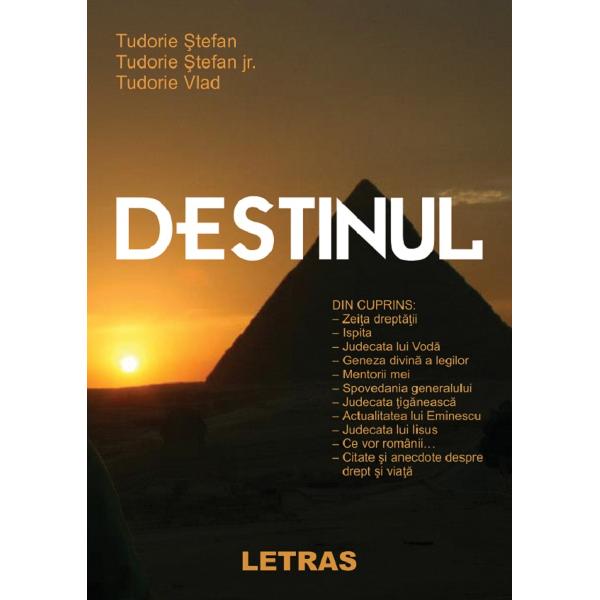 Destinul - Tudorie Stefan, Tudorie Stefan Jr