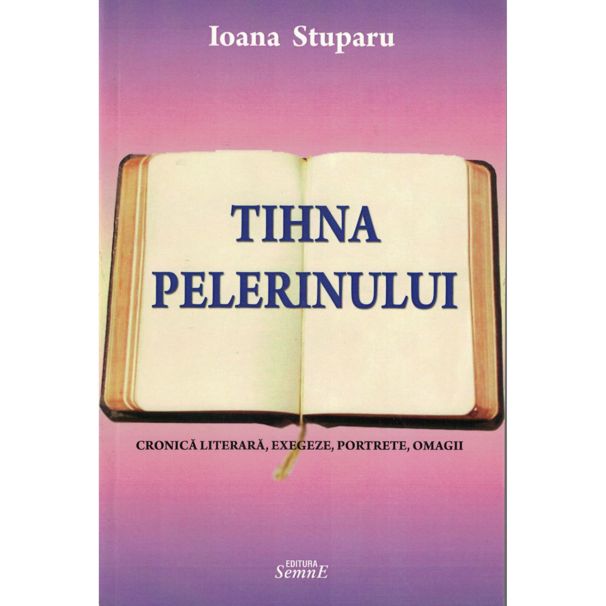 Tihna pelerinului - Ioana Stuparu