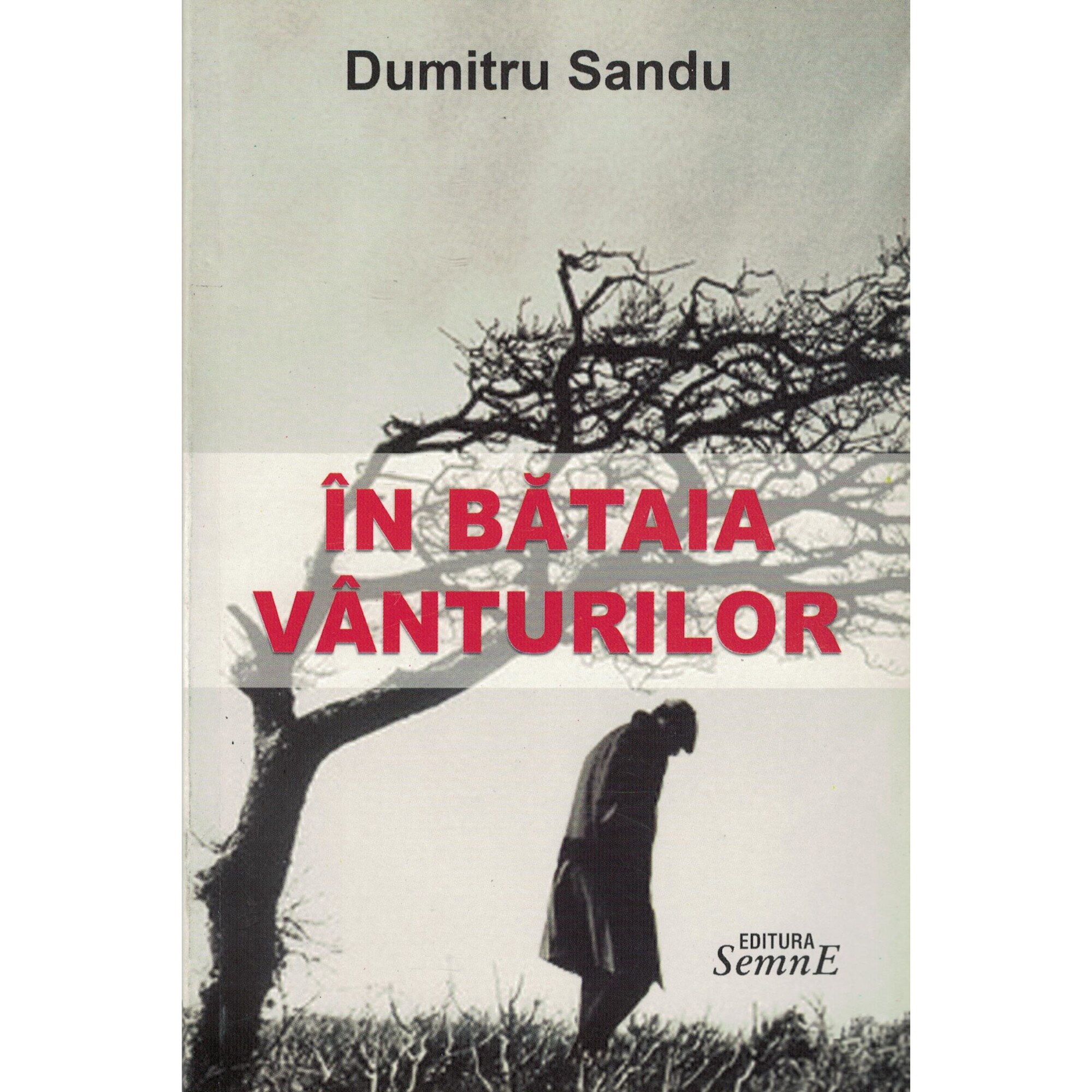 In bataia vanturilor - Dumitru Sandu